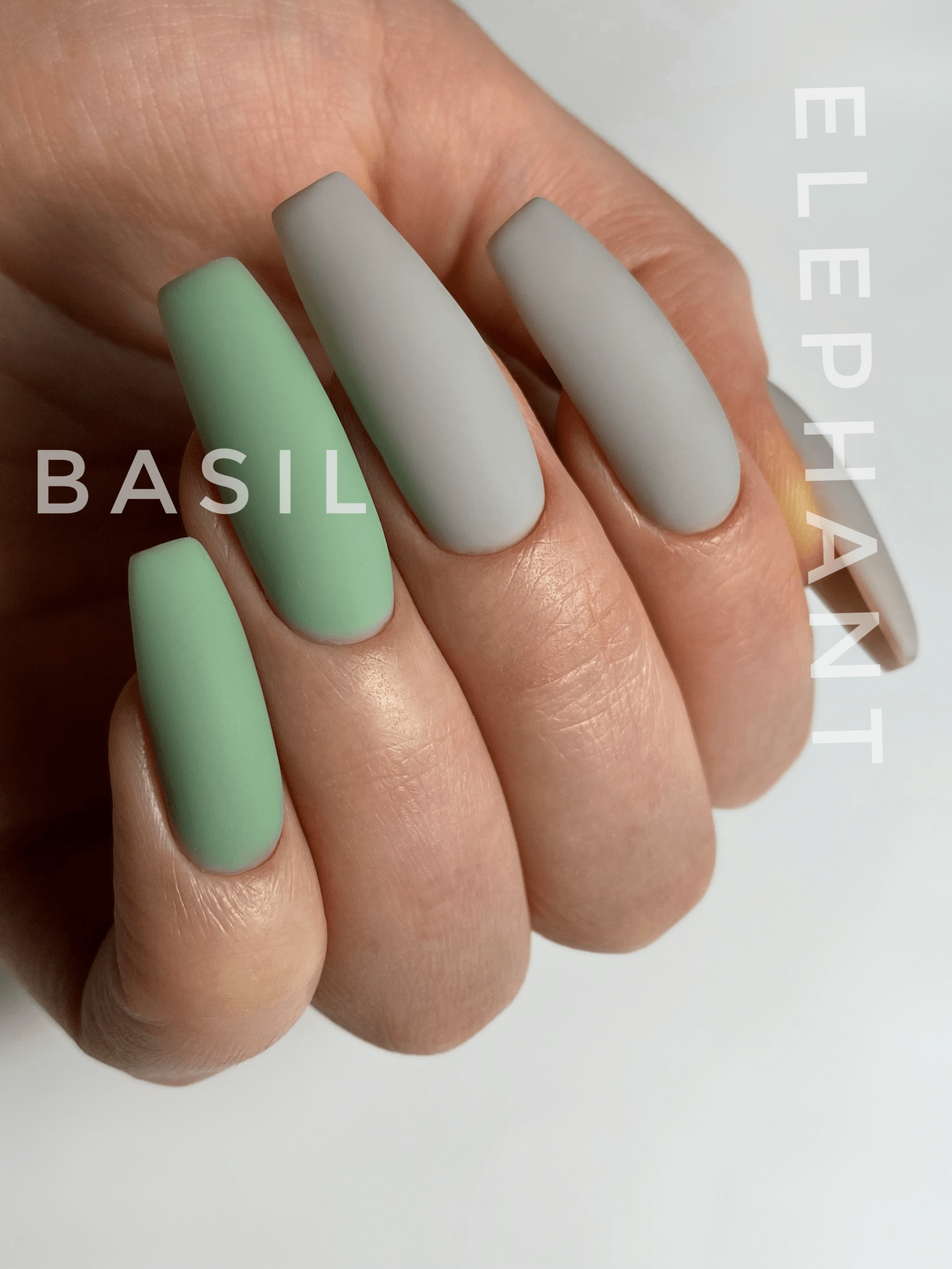BASIL Tinted Base 15ml (Physical item) - Nail Artistry Melbourne | Professional Nail Supplies Melbourne