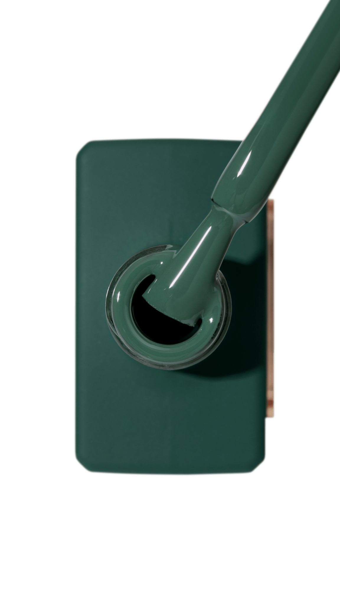 Cactus Gel Polish 15ml (Physical item) - Nail Artistry Melbourne | Professional Nail Supplies Melbourne