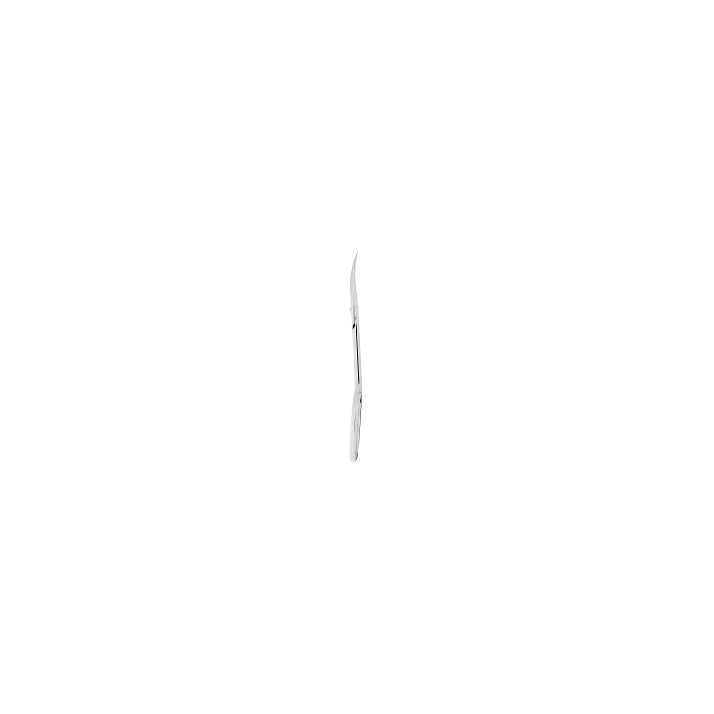 Cuticle scissors EXPERT 22 TYPE 1 Staleks (Physical item) - Nail Artistry Melbourne | Professional Nail Supplies Melbourne
