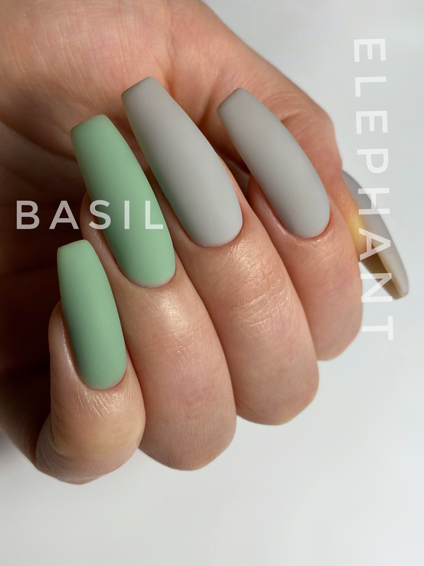 BASIL Tinted Base 15ml